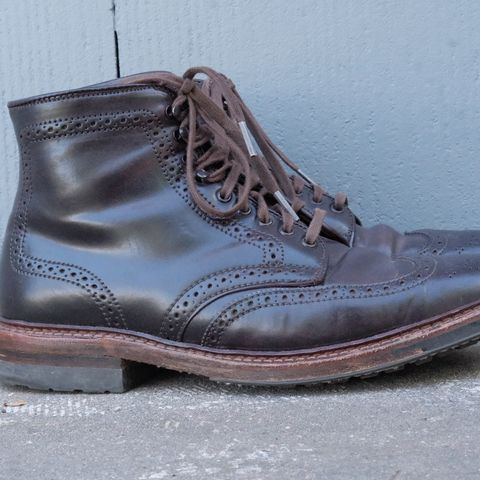 Alden Wingtip Boot in Horween Color 8 Shell Cordovan