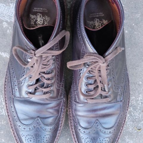 Alden Wingtip Boot in Horween Color 8 Shell Cordovan