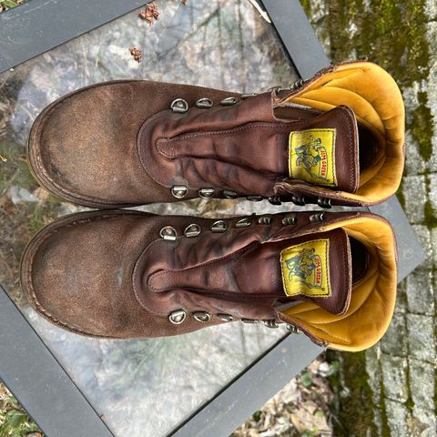 Jim Green Razorback in African Buffalo Skin