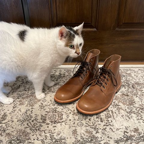 Oak Street Bootmakers Field Boot in Horween Natural Chromexcel