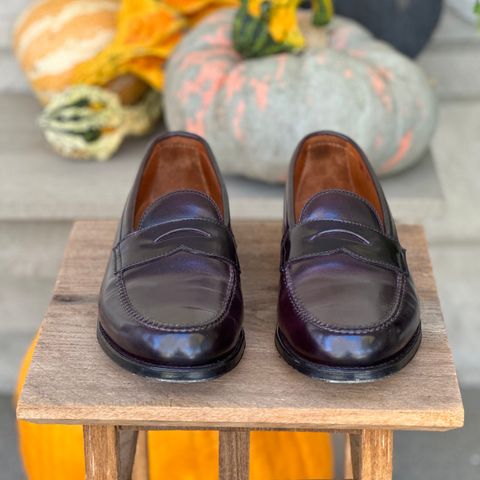 Alden Leisure Handsewn Penny Loafer in Horween Color 8 Shell Cordovan