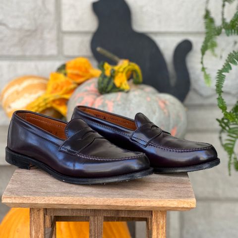 Alden Leisure Handsewn Penny Loafer in Horween Color 8 Shell Cordovan