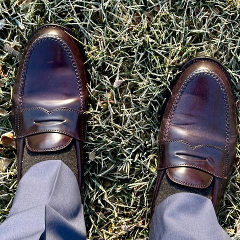 Alden Leisure Handsewn Penny Loafer in Horween Color 8 Shell Cordovan