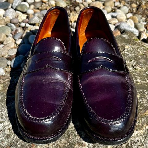 Alden Leisure Handsewn Penny Loafer in Horween Color 8 Shell Cordovan