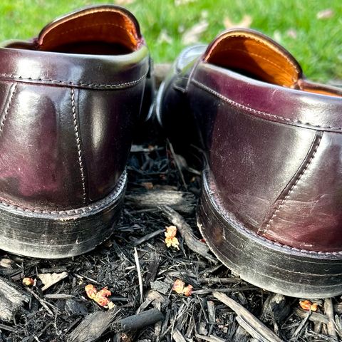 Alden Leisure Handsewn Penny Loafer in Horween Color 8 Shell Cordovan