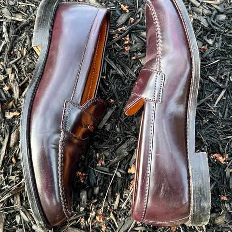 Alden Leisure Handsewn Penny Loafer in Horween Color 8 Shell Cordovan