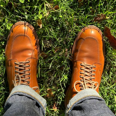 View photo of Alden X Ealdwine 40307HC Saddle Tan Fettleder Indy in Saddle Tan Calf Skin