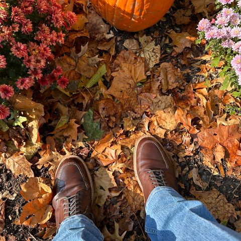 View photo of Alden Indy Boot in Horween Brown Chromexcel