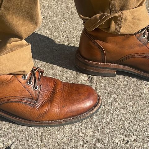 Oak Street Bootmakers Trench Boot in Tempesti Brown Overdye Camello Asportabile