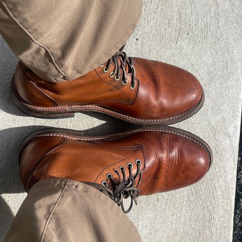 Oak Street Bootmakers Trench Boot in Tempesti Brown Overdye Camello Asportabile
