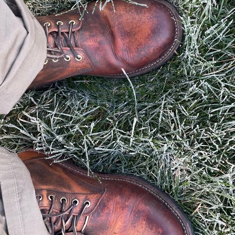 Oak Street Bootmakers Trench Boot in Tempesti Brown Overdye Camello Asportabile