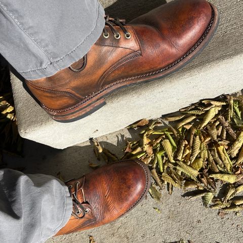 Oak Street Bootmakers Trench Boot in Tempesti Brown Overdye Camello Asportabile