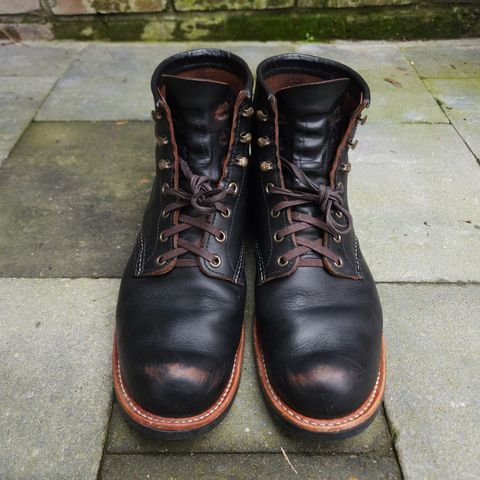 Red Wing Blacksmith in S.B. Foot Black Prairie