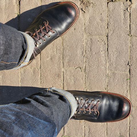 Red Wing Blacksmith in S.B. Foot Black Prairie