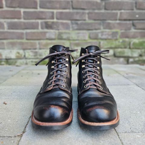 Red Wing Blacksmith in S.B. Foot Black Prairie