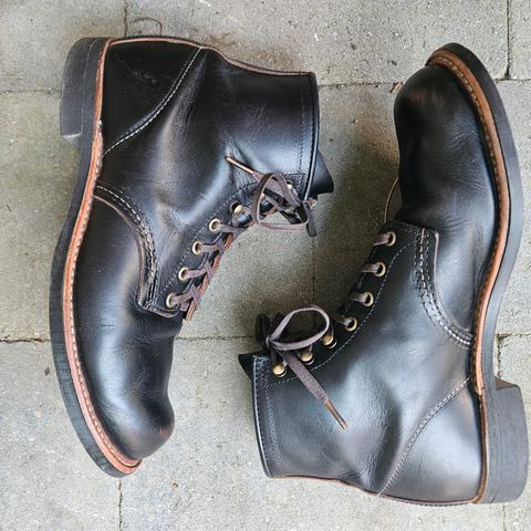 Red Wing Blacksmith in S.B. Foot Black Prairie
