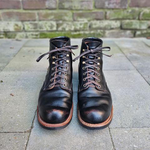 Red Wing Blacksmith in S.B. Foot Black Prairie