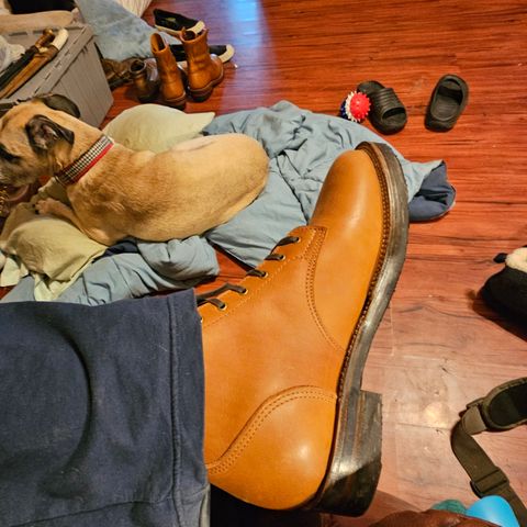 Oldspeed Service Boot 6” in S.B. Foot Timberjack Cedar