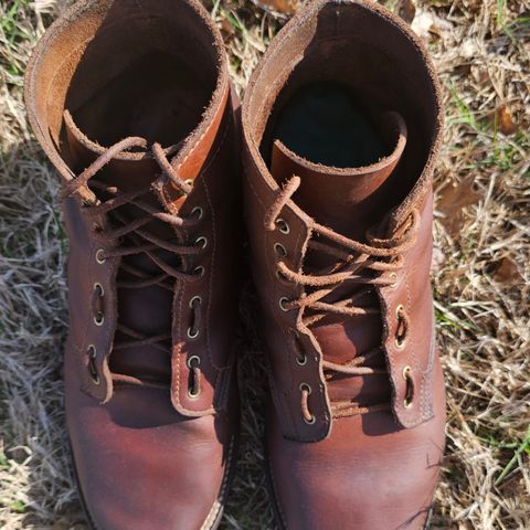 Oldspeed Service Boot 6” in S.B. Foot Timberjack Cedar