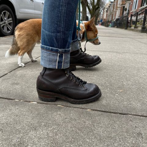 Wesco Highliner in brown (polished black)