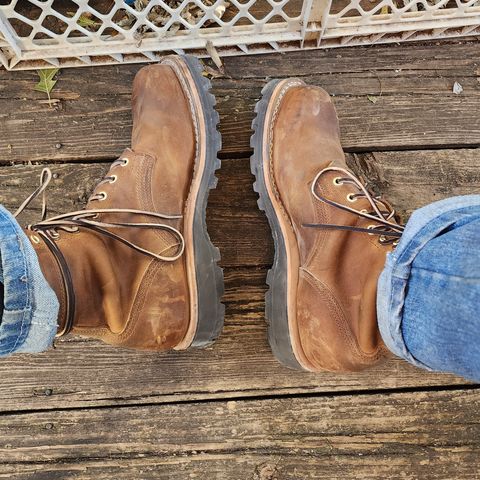 Nicks MTO in Horween Orange Predator