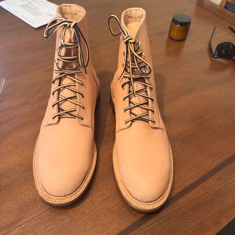 Unmarked DB Hunter in Unknown Natural Veg Tan