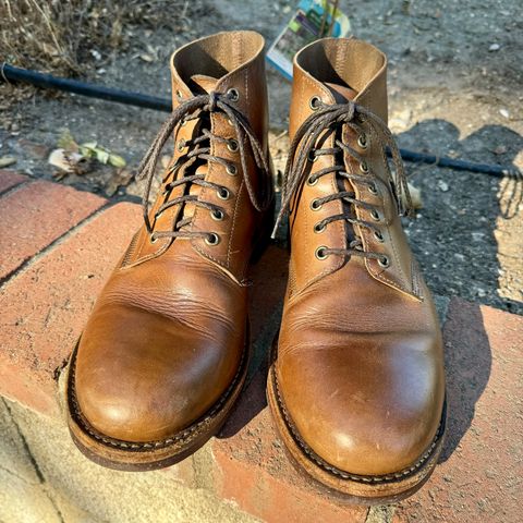 Oak Street Bootmakers Field Boot in Horween Natural Chromexcel