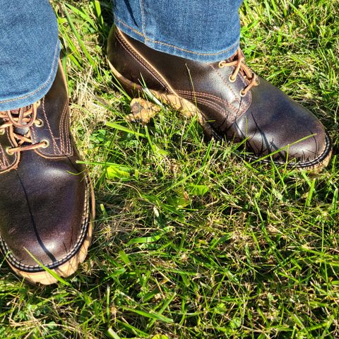Nicks Urban Logger in Horween Brown Waxed Flesh