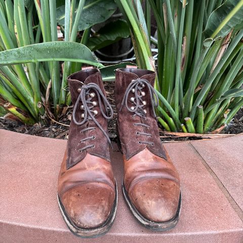 Edward Green Galway in D'Annonay Dark Oak Calf