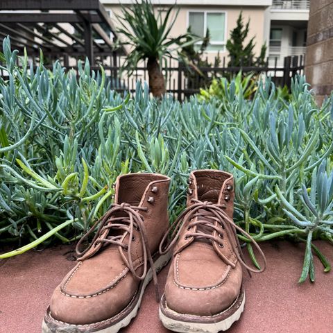 Thursday Diplomat in Pebble WeatherSafe Nubuck