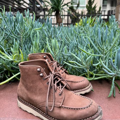Thursday Diplomat in Pebble WeatherSafe Nubuck