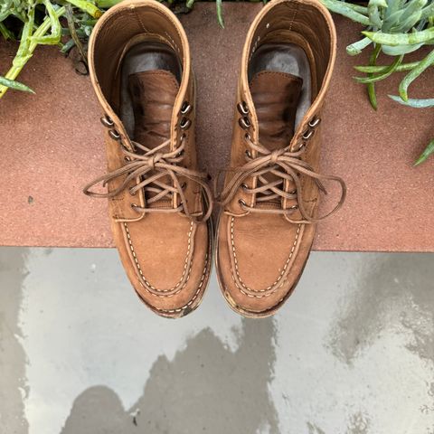 Thursday Diplomat in Pebble WeatherSafe Nubuck