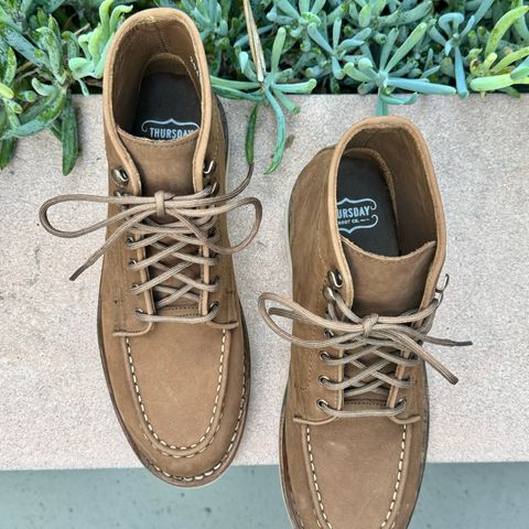 Thursday Diplomat in Pebble WeatherSafe Nubuck