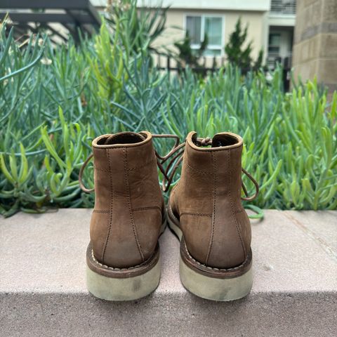 Thursday Diplomat in Pebble WeatherSafe Nubuck