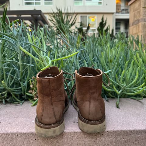 Thursday Diplomat in Pebble WeatherSafe Nubuck