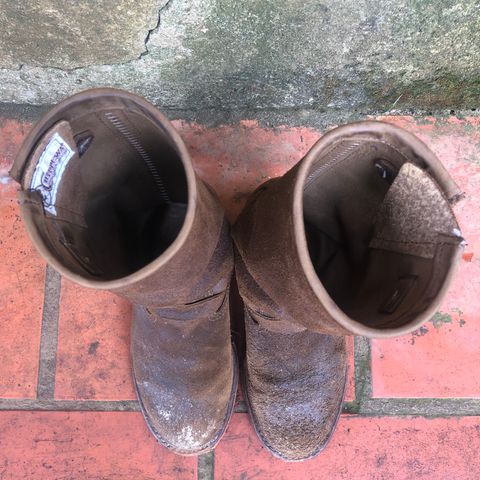 View photo of Chippewa 11" Engineer Boot in brown rough out