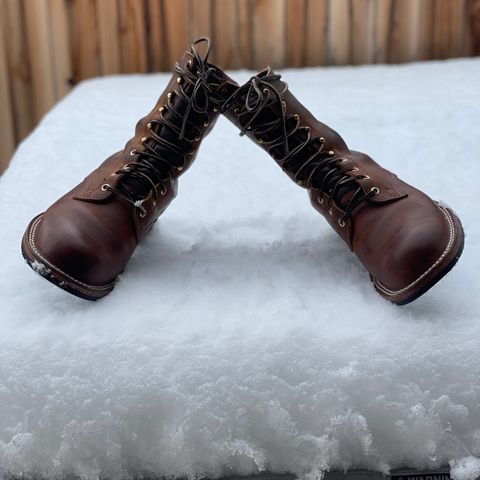 Nicks Officer in Horween Orange Predator