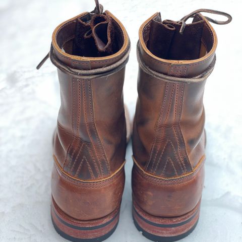 Nicks Officer in Horween Orange Predator