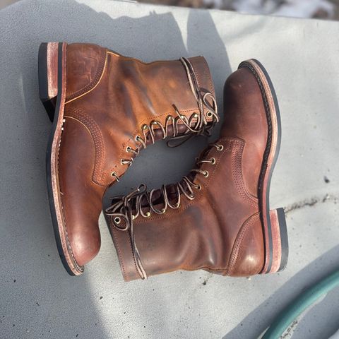 Nicks Officer in Horween Orange Predator