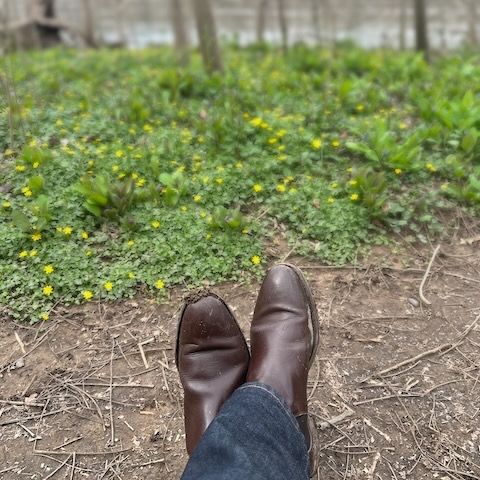 Meermin Chelsea Boot in Du Puy Brown Box Calf
