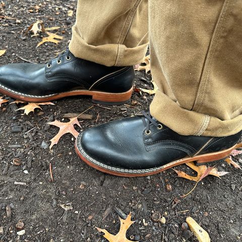Nicks Free Range in Horween Black Teacore Chromexcel