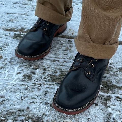 Nicks Free Range in Horween Black Teacore Chromexcel
