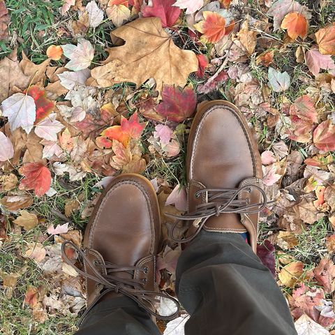 Quoddy Blucher in Horween Natural Chromexcel