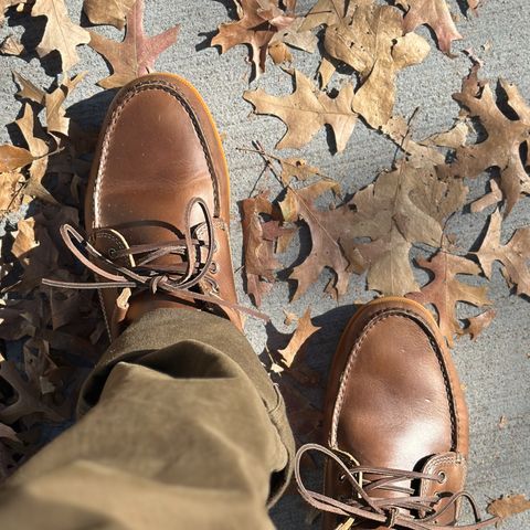 Quoddy Blucher in Horween Natural Chromexcel