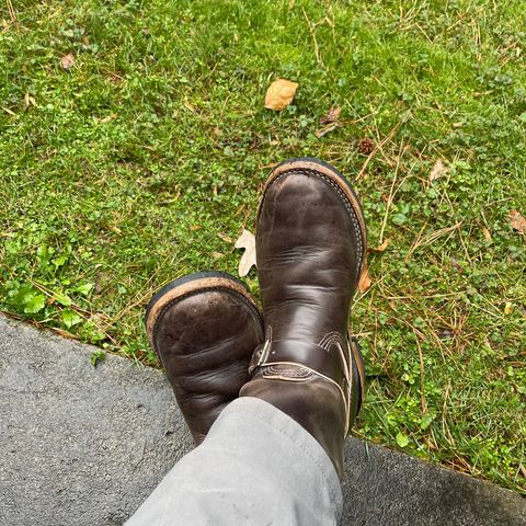 Wesco Mister Lou in Maryam T. Moro Horsebutt