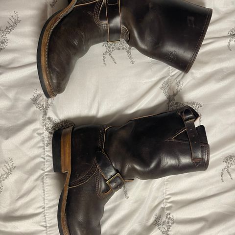 Wesco Mister Lou in Maryam T. Moro Horsebutt