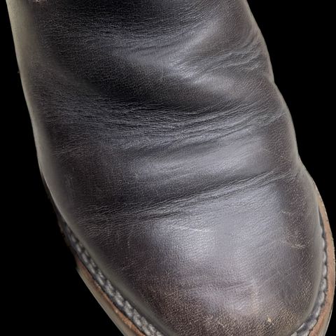 Wesco Mister Lou in Maryam T. Moro Horsebutt