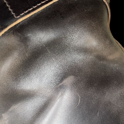 Wesco Mister Lou in Maryam T. Moro Horsebutt