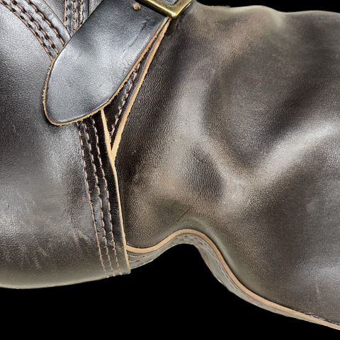 Wesco Mister Lou in Maryam T. Moro Horsebutt