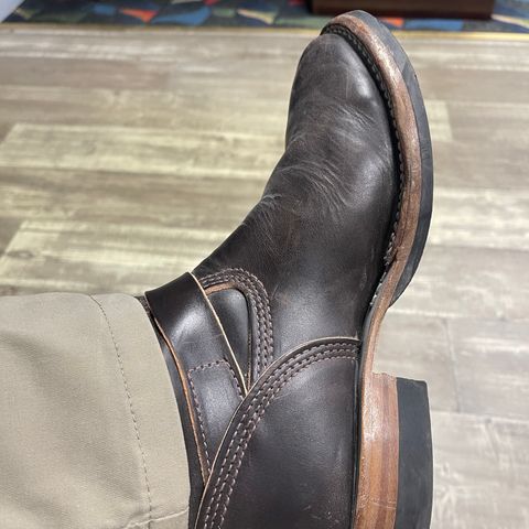 Wesco Mister Lou in Maryam T. Moro Horsebutt